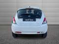Lancia Ypsilon Ypsilon 1.0 firefly hybrid Gold s&s 70cv Bianco - thumbnail 11