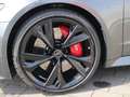 Audi RS7 performance RS-SPORT-AGA*ACC*360° Grau - thumbnail 6