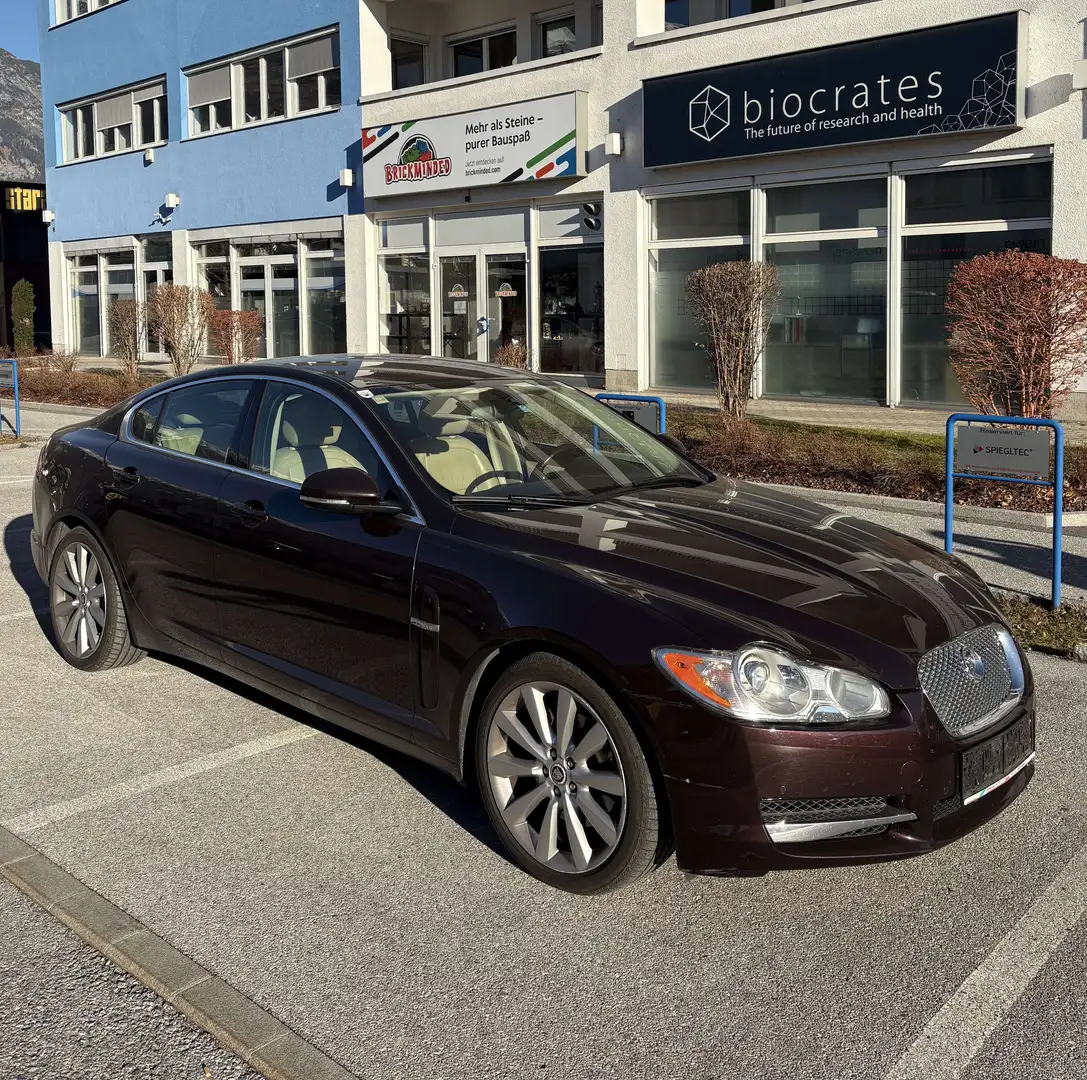 Jaguar XF 3,0 Diesel Luxury - 1