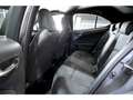 Lexus UX 300e Business Grey - thumbnail 15