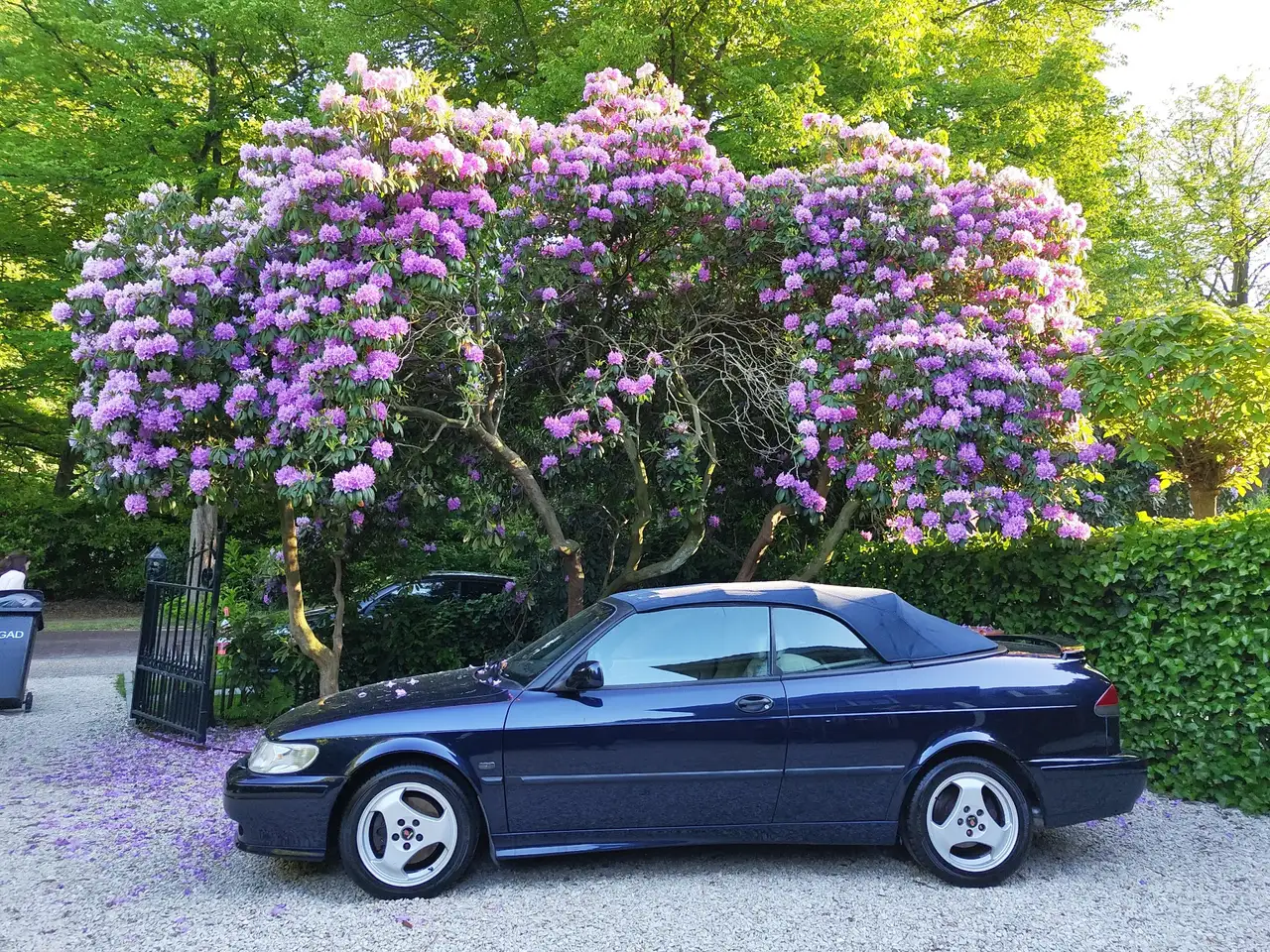 Saab 900 Cabrio 2.0, foto 3