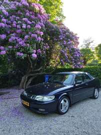 Cabrio 2.0