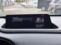 Mazda CX-30 2.5 e-SkyActiv-G M Hybrid Homura Automaat | Carpla Gris - thumbnail 20
