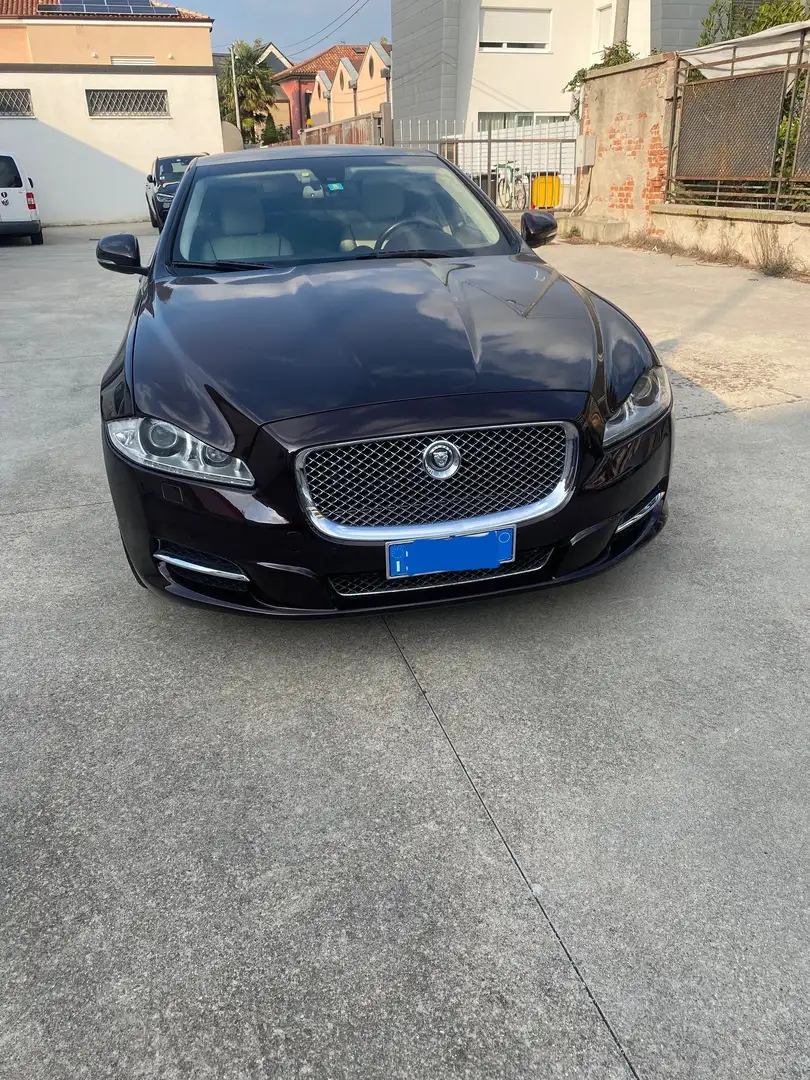 Jaguar XJ XJ 5.0 LWB PORTFOLIO Brun - 1