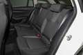 Skoda Octavia Combi 2.0 TDI DSG Ambition PDC SHZ ACC Weiß - thumbnail 17