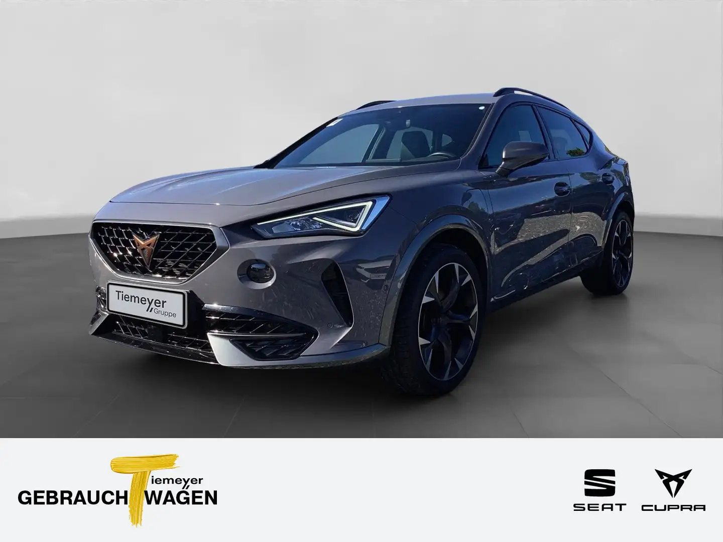 CUPRA Formentor eHybrid LM19 PARKLENK FULL-LINK KAMERA Grigio - 1