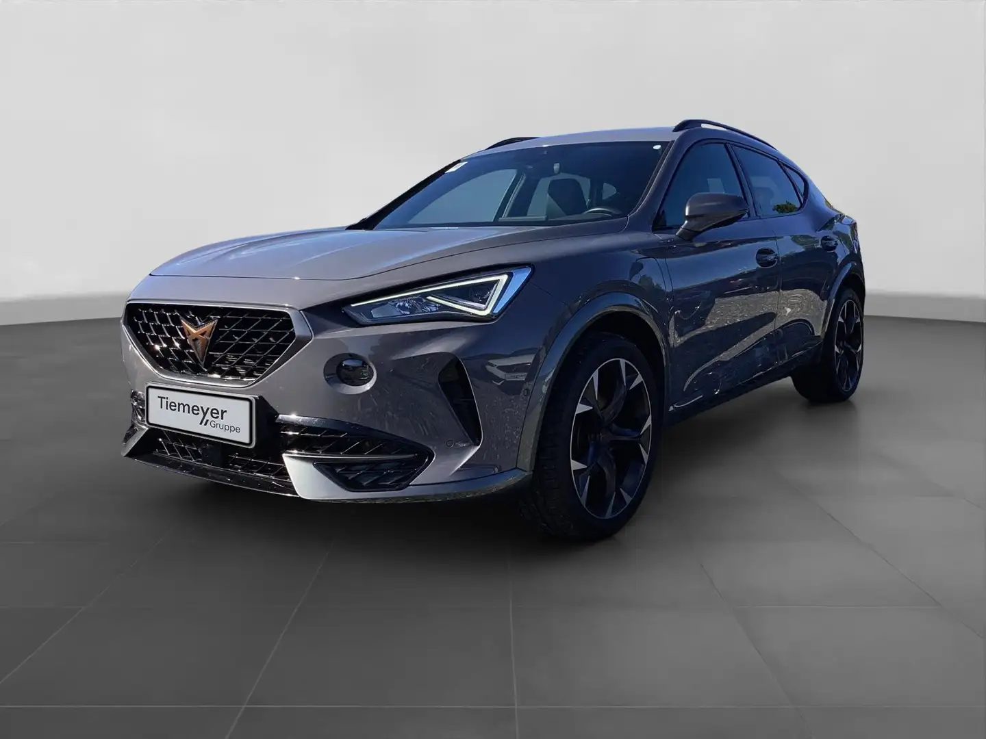 CUPRA Formentor eHybrid LM19 PARKLENK FULL-LINK KAMERA Grau - 2