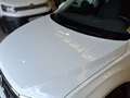 Volkswagen T-Roc 2.0TDI Life 85kW Blanco - thumbnail 22