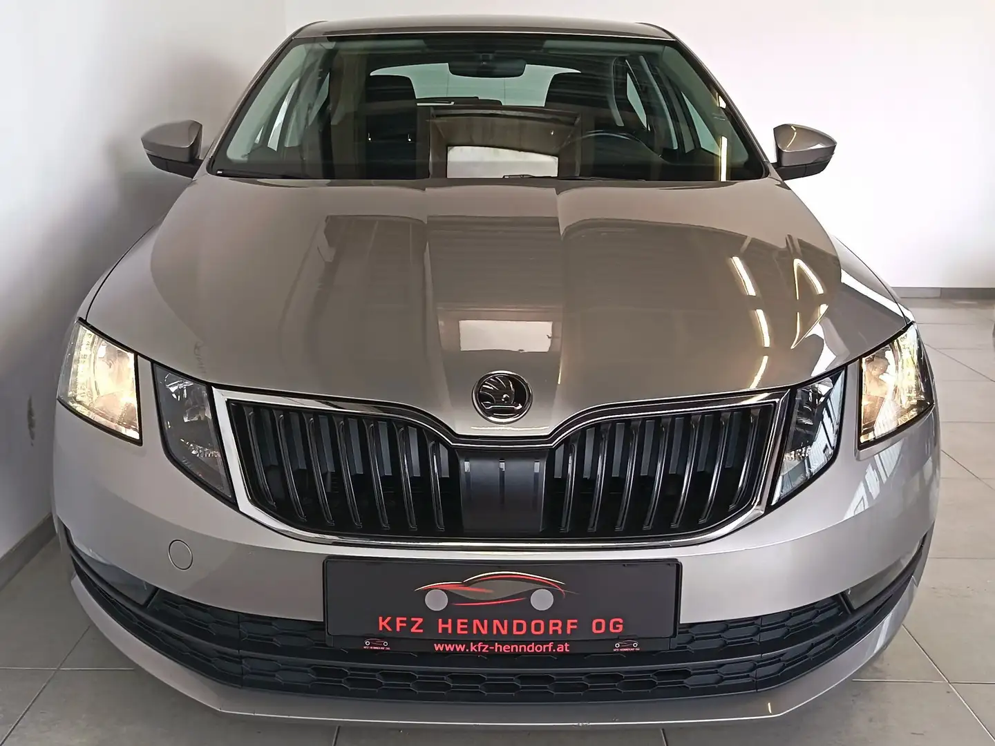 Skoda Octavia Ambition ab € 180 / Monat Grau - 2