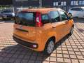 Fiat Panda 1.0 FireFly S&S Hybrid Arancione - thumbnail 6