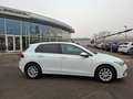 Volkswagen Golf VIII TSI * ACC * 1.BESITZ * MODELL 2021 Weiß - thumbnail 4