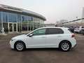 Volkswagen Golf VIII TSI * ACC * 1.BESITZ * MODELL 2021 Weiß - thumbnail 8