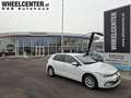 Volkswagen Golf VIII TSI * ACC * 1.BESITZ * MODELL 2021 Weiß - thumbnail 1