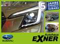 Subaru Forester 2.0ie - Trend - LED - Automatik Grün - thumbnail 1