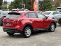 Mazda CX-5 Prime-Line 2WD Rot - thumbnail 6