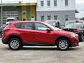Mazda CX-5 Prime-Line 2WD Rot - thumbnail 5