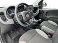 Fiat Panda Panda 1.0 firefly hybrid City Life s Fehér - thumbnail 9