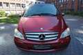 Mercedes-Benz Viano 4M 2.2 CDI Lang*EDITION*7-SITZE*EL.TÜREN* Rouge - thumbnail 2