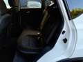 Nissan Qashqai Qashqai 1.6 dCi 2WD Executive+18''+AVM ISS Wit - thumbnail 8