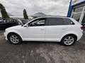 Audi A3 Sportback 1.6TDI Ambiente - thumbnail 2