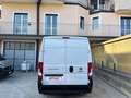 Fiat Ducato 2.3 MJT 140CV L2 H2 PEDANA 14Q Bianco - thumbnail 6