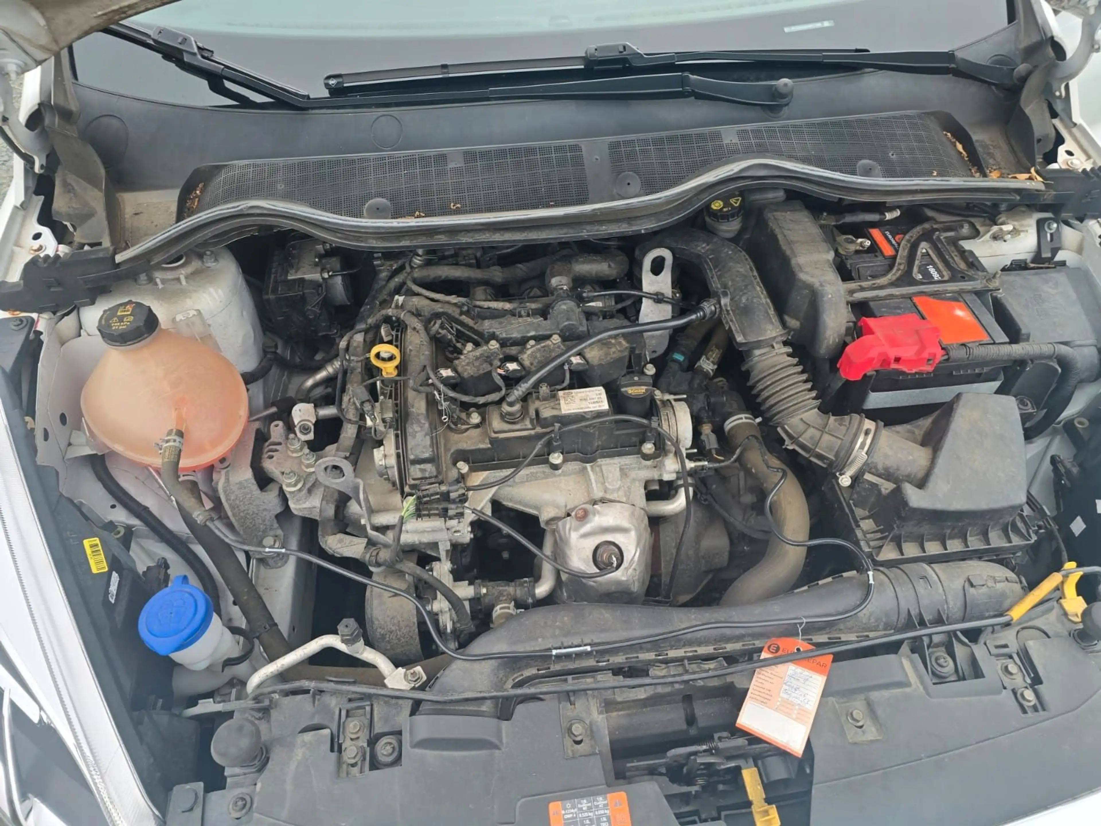 Ford Fiesta Trend — photo 8
