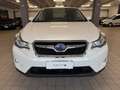 Subaru XV XV I 2.0d S Unlimited (exclusive) 6mt Bianco - thumbnail 2