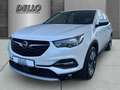 Opel Grandland X 1.2T 96 kw INNOVATION  El. Heckklappe Klimaautom Weiß - thumbnail 1