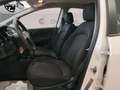 Fiat Punto 5p 1.2 Lounge *NEOPATENTATI* Bianco - thumbnail 11