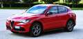 Alfa Romeo Stelvio Stelvio 2.2 t Super rwd 160cv auto Rosso - thumbnail 15