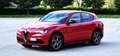 Alfa Romeo Stelvio Stelvio 2.2 t Super rwd 160cv auto Rosso - thumbnail 12