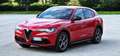 Alfa Romeo Stelvio Stelvio 2.2 t Super rwd 160cv auto Rosso - thumbnail 14