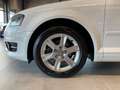 Audi A3 Sportback 1.2 TFSI Klimaautom. Sitzh. GRA Weiß - thumbnail 7