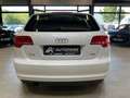 Audi A3 Sportback 1.2 TFSI Klimaautom. Sitzh. GRA Weiß - thumbnail 5