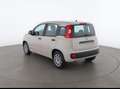 Fiat Panda Panda 0.9 t.air t. natural power Easy 80cv Beige - thumbnail 7