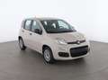 Fiat Panda Panda 0.9 t.air t. natural power Easy 80cv Beige - thumbnail 3