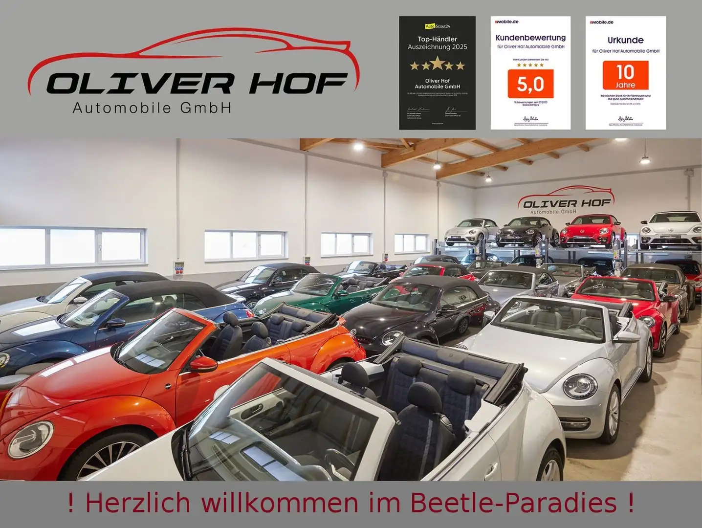 Volkswagen Beetle 2.0TSI R-Line Individual / Exclusive Weiß - 2