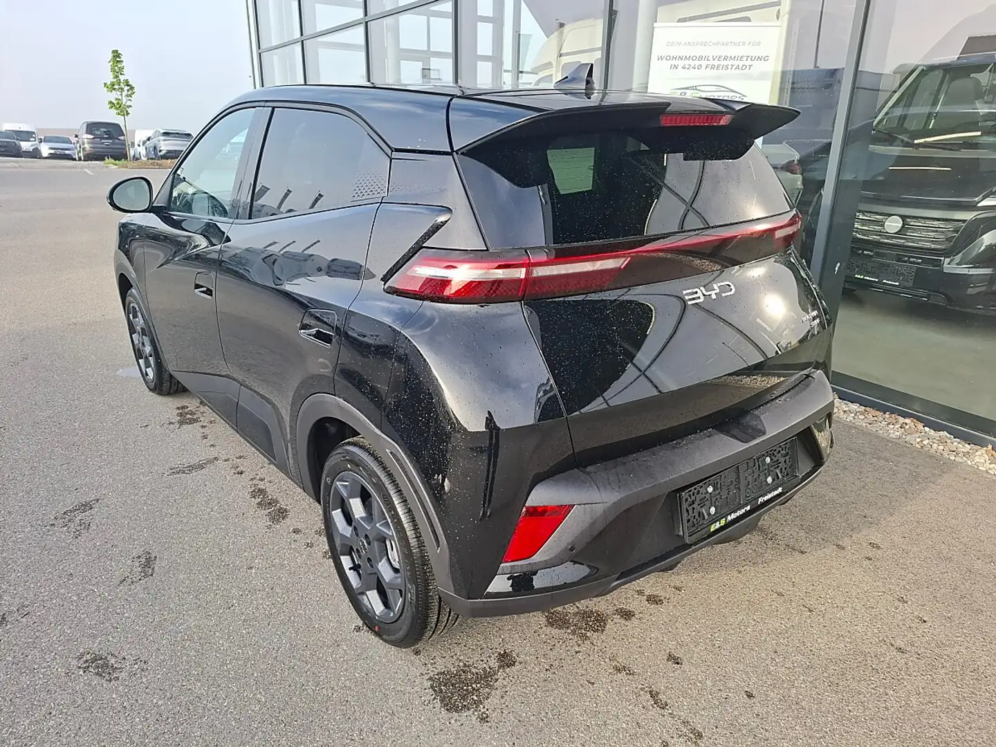 BYD Dolphin Surf 43,2 kWh Comfort Österreich Paket Schwarz - 2