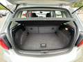 Volkswagen Polo Polo 1.4 CR TDi Trendline Gris - thumbnail 21