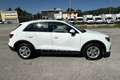 Audi Q3 Q3 35 TFSI Business Blanc - thumbnail 4