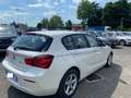 BMW 116 d 5p. Business Bianco - thumbnail 5