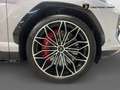 Lamborghini Urus 4.0 V8 800ch BVA8 SE Grau - thumbnail 5