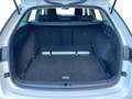 Skoda Octavia Style TDI DSG Weiß - thumbnail 23