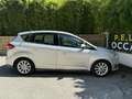 Ford C-Max 1.0 EcoBoost 100 SetS Titanium Grau - thumbnail 18
