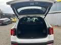 Kia Sorento 2.2 CRDi Platinum VOLLAUSSTATTUNG Biały - thumbnail 11