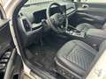 Kia Sorento 2.2 CRDi Platinum VOLLAUSSTATTUNG Weiß - thumbnail 5