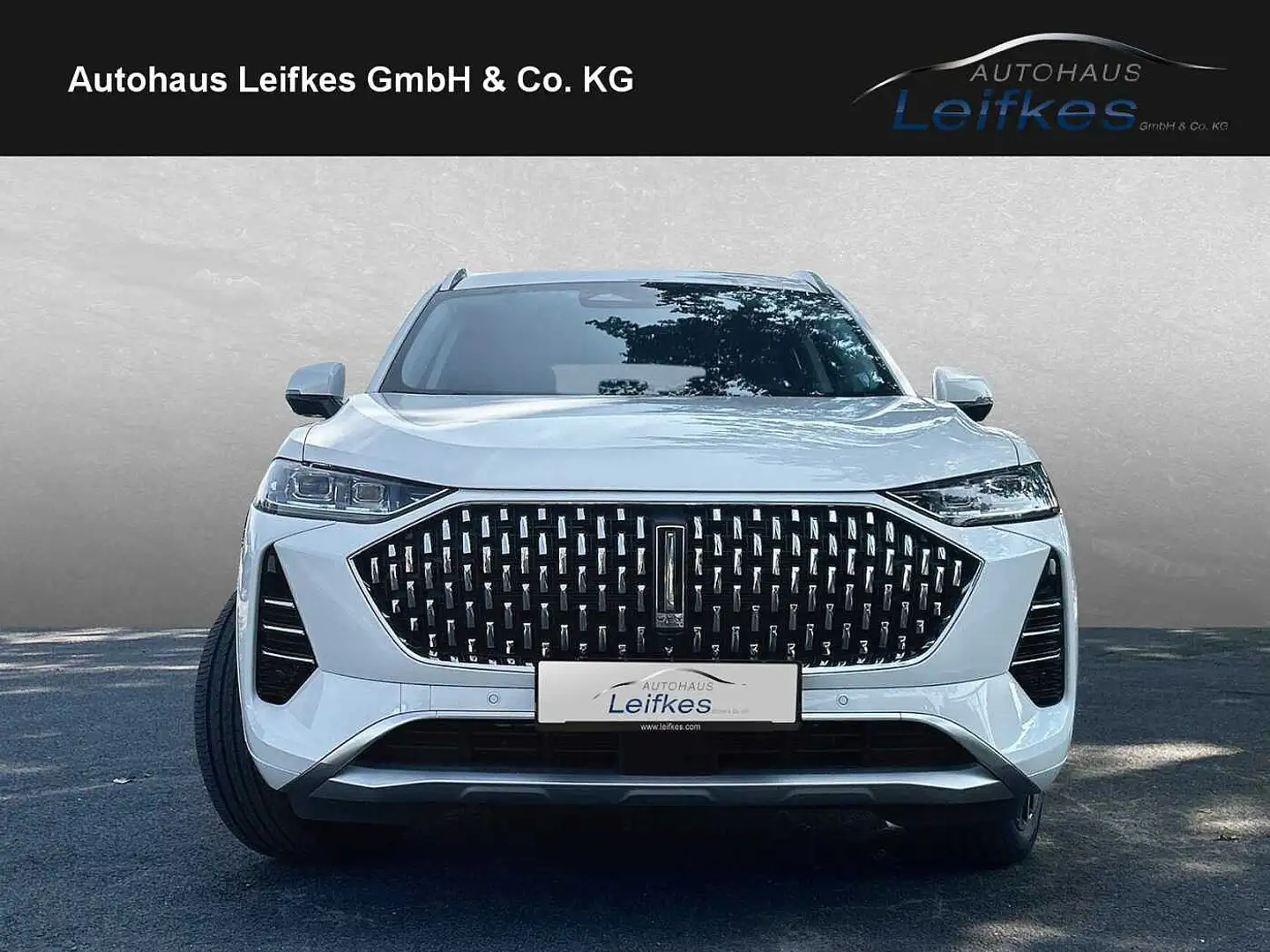 GWM WEY 05 Plug-In-Hybrid Premium Weiß - 2