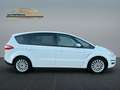 Ford S-Max S-MAX 2.0 TDCi Business Edition 7-Sitzer AHK Weiß - thumbnail 4