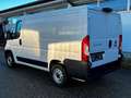 Fiat Ducato Kasten 30 L1H1 120 Blanc - thumbnail 3