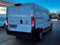 Fiat Ducato Kasten 30 L1H1 120 Blanc - thumbnail 5
